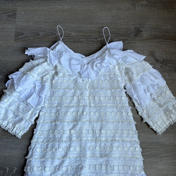 Alexis Calypso Ruffle Mini Dress - Picture 12 of 14